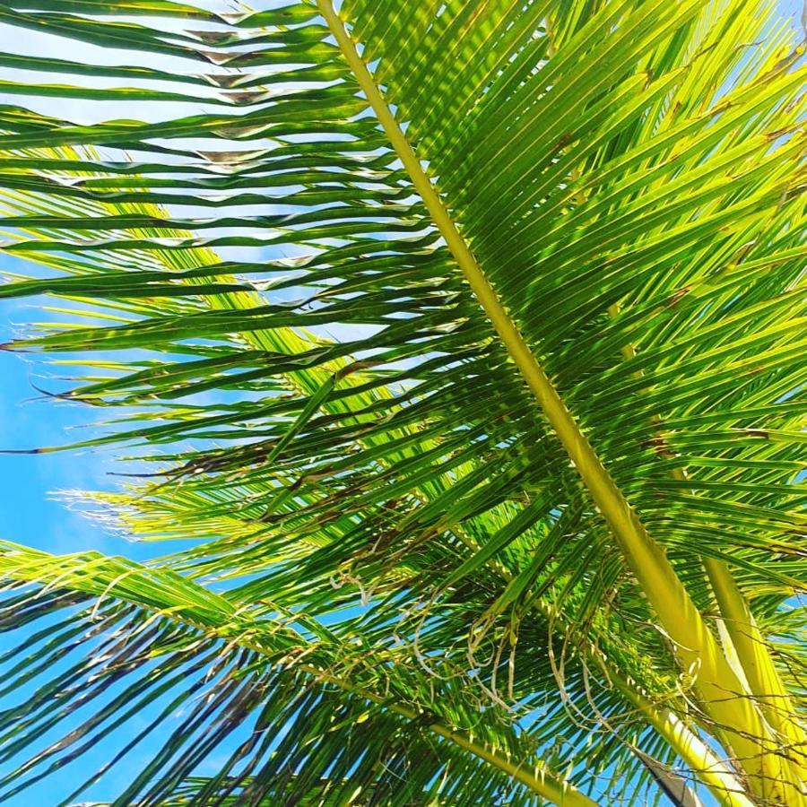 Praia De Itacimirim, Pe Na Areia エクステリア 写真