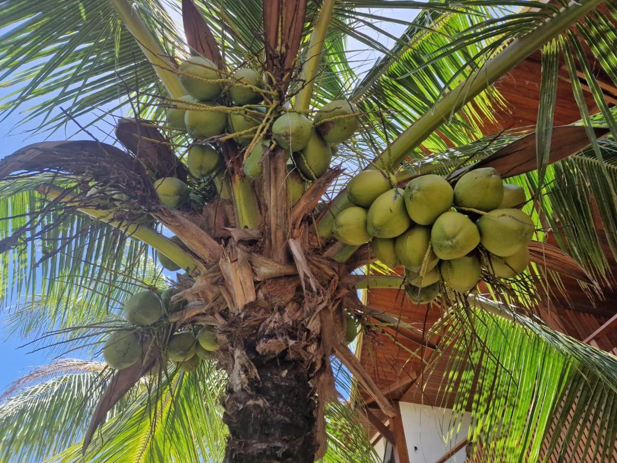 Praia De Itacimirim, Pe Na Areia エクステリア 写真